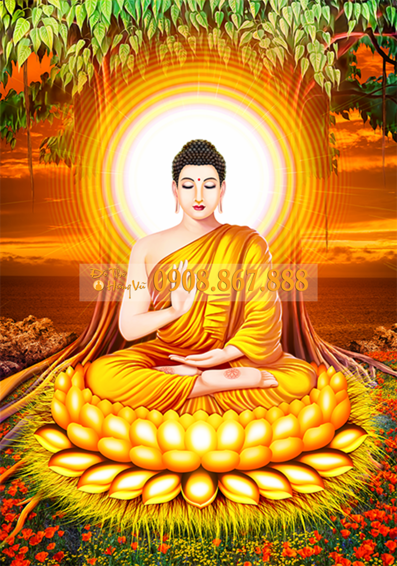 Phật Thích Ca Mâu Ni là ai